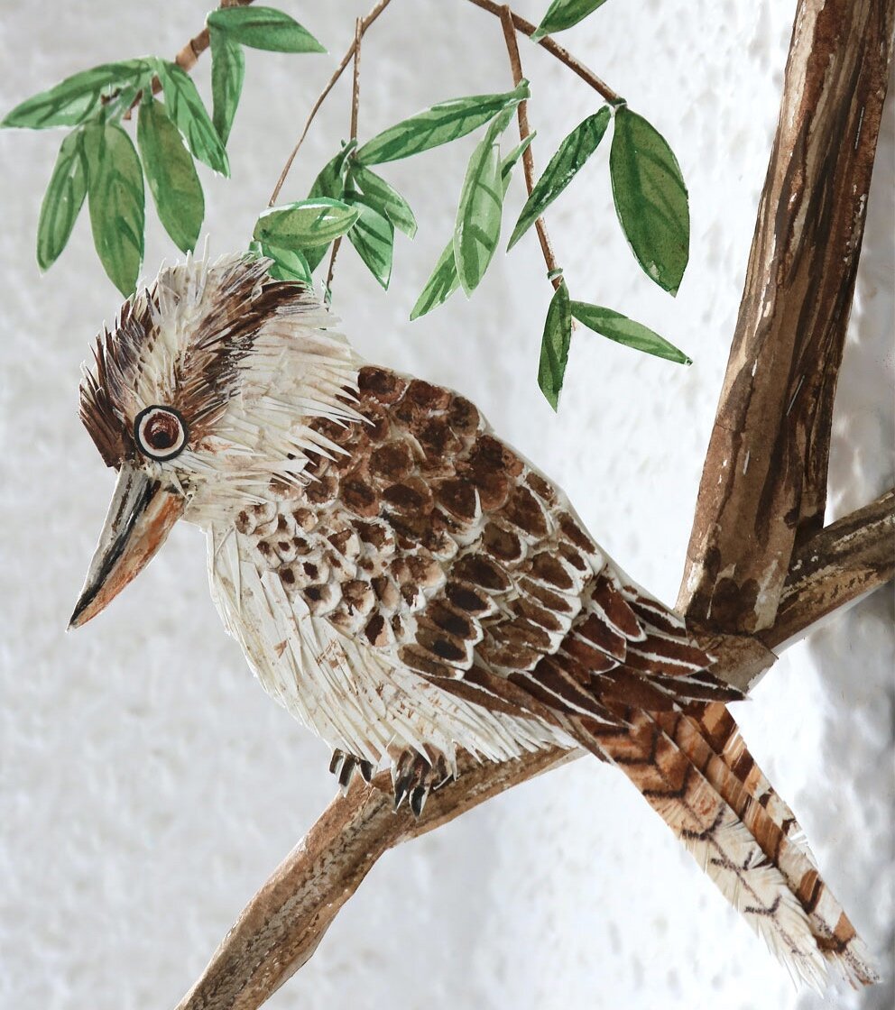 kooka-crop.jpg