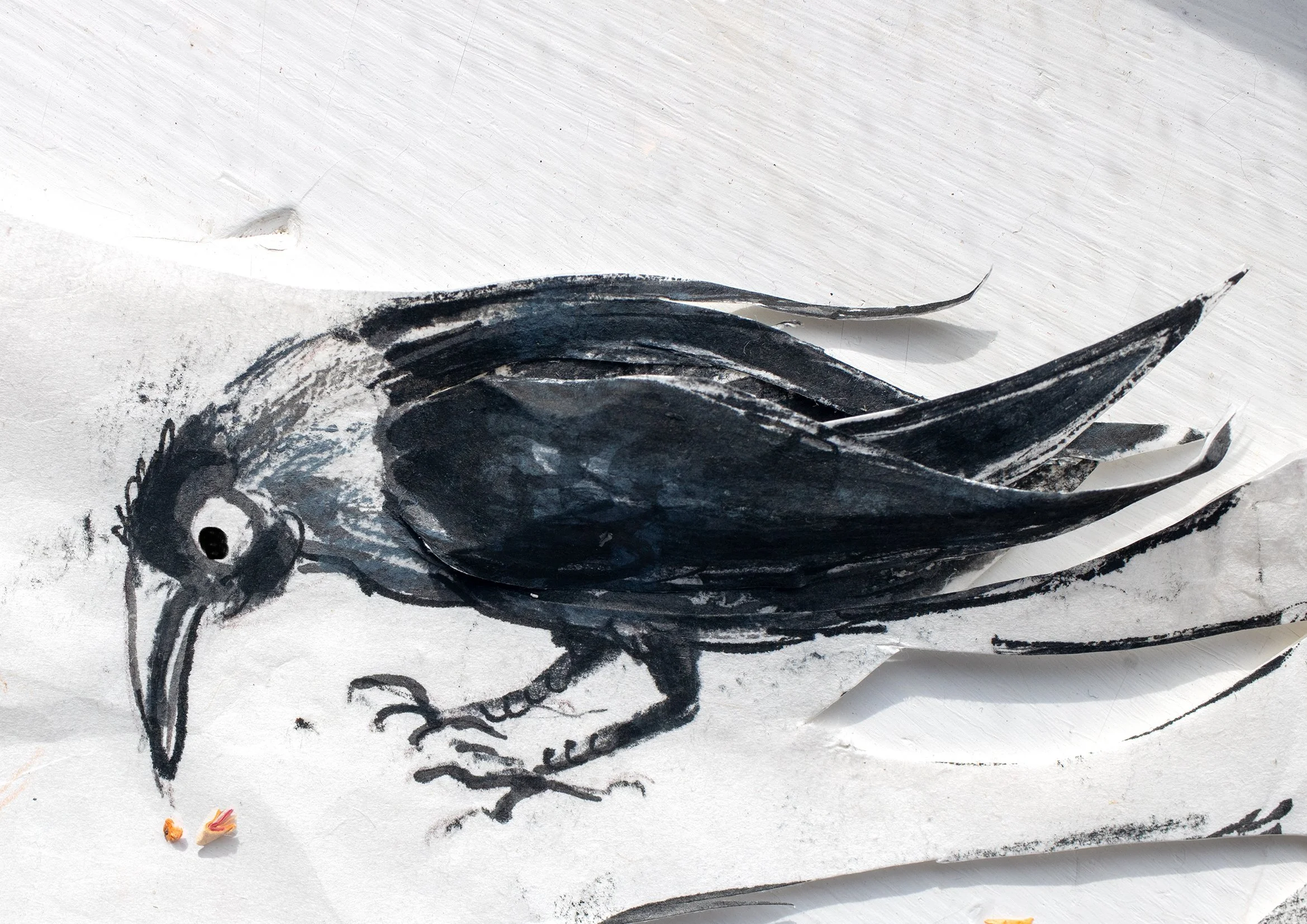 crow sketchbk copy.jpg