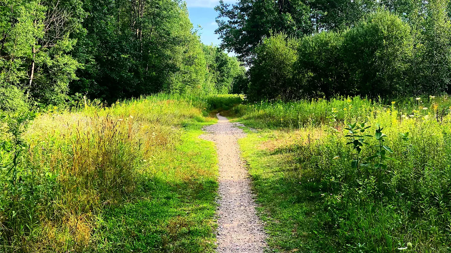 NESEA 2019: Carbon Drawdown Now! Turning Buildings into Carbon Sinks