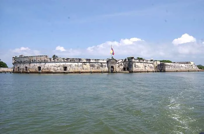 image1.jpg
