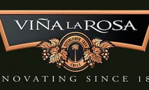 vinalarosa-291x176.png