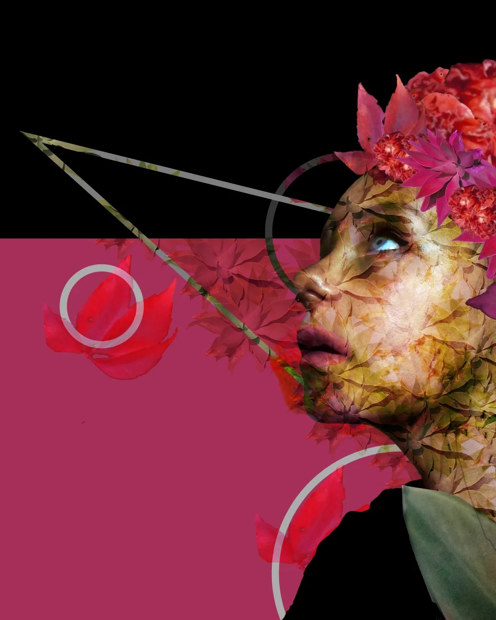 webbg_flower1.jpg