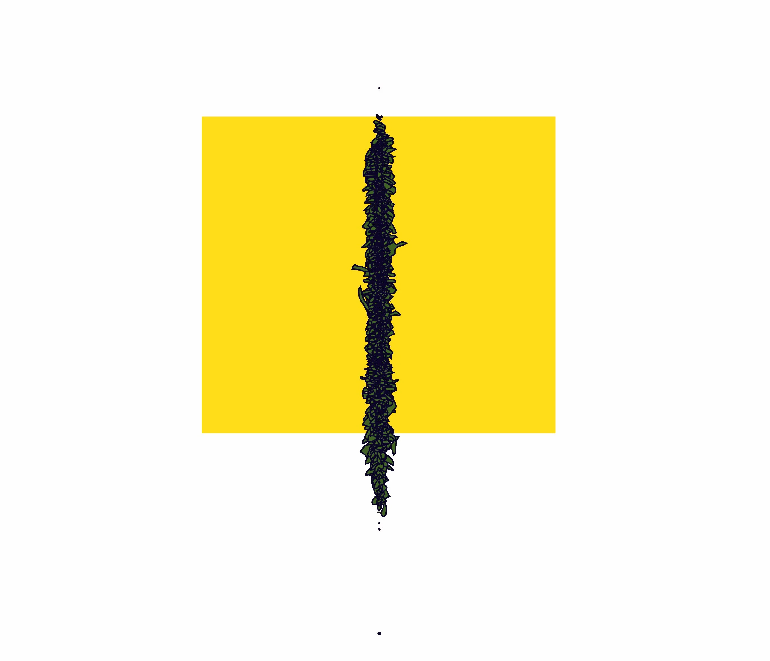 web_POLISH PALM2-01.jpg