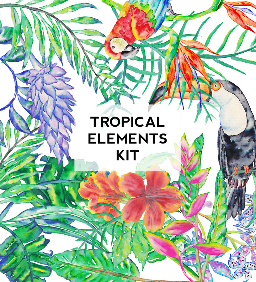 Tropical-kit-bouquets.jpg