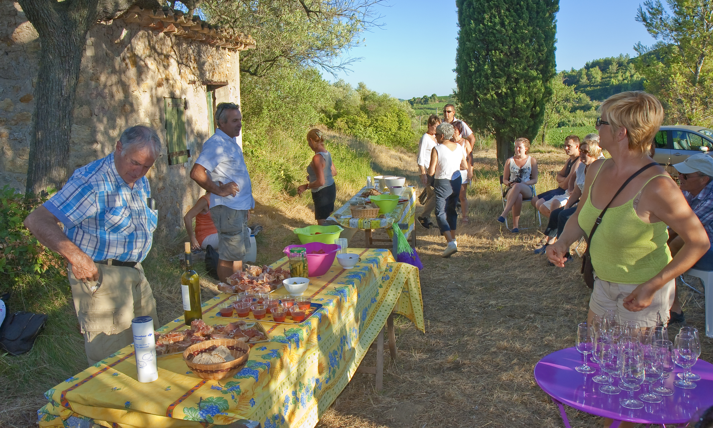 Wine tasting in the vineyards