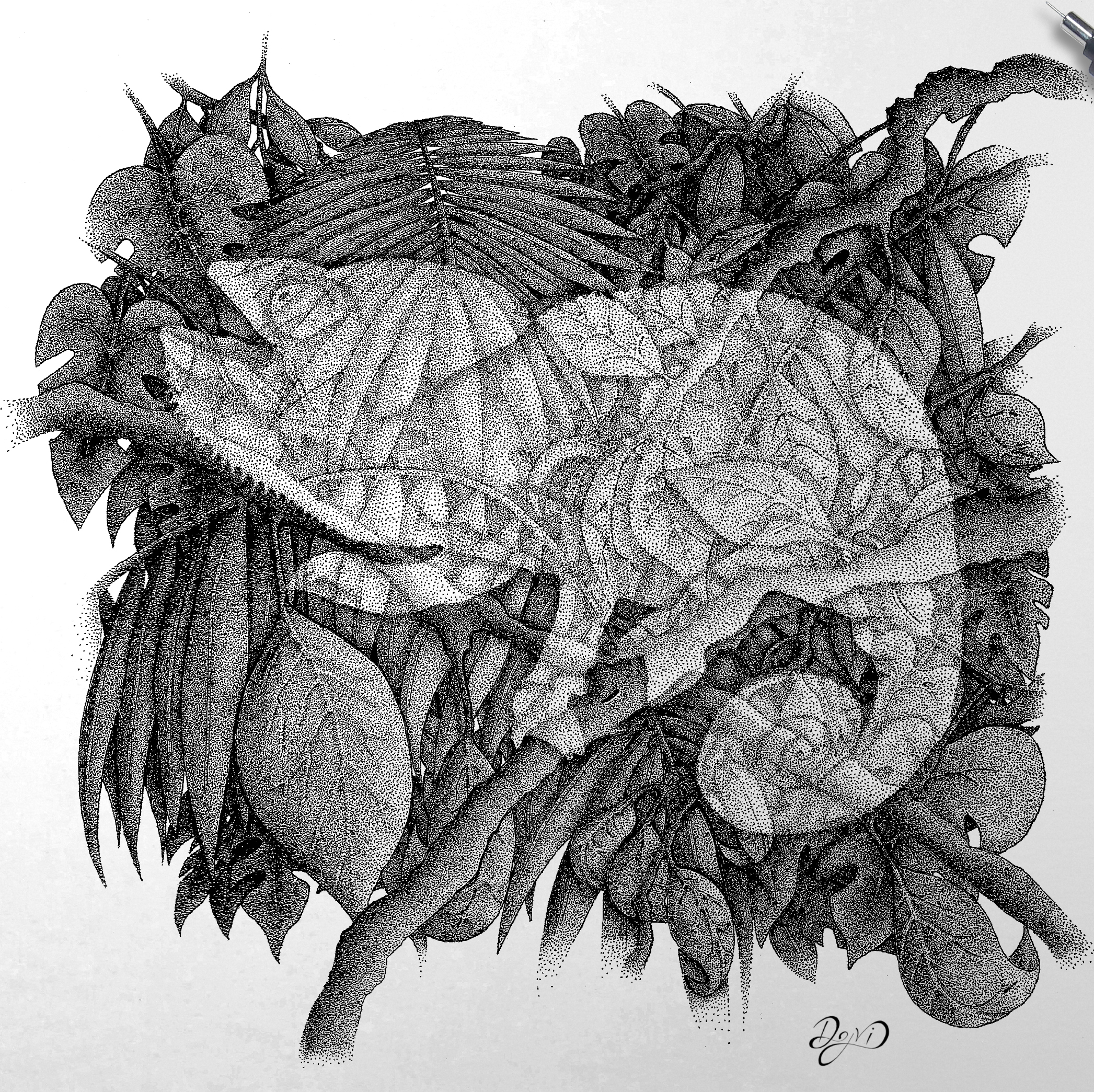 chameleon.jpg