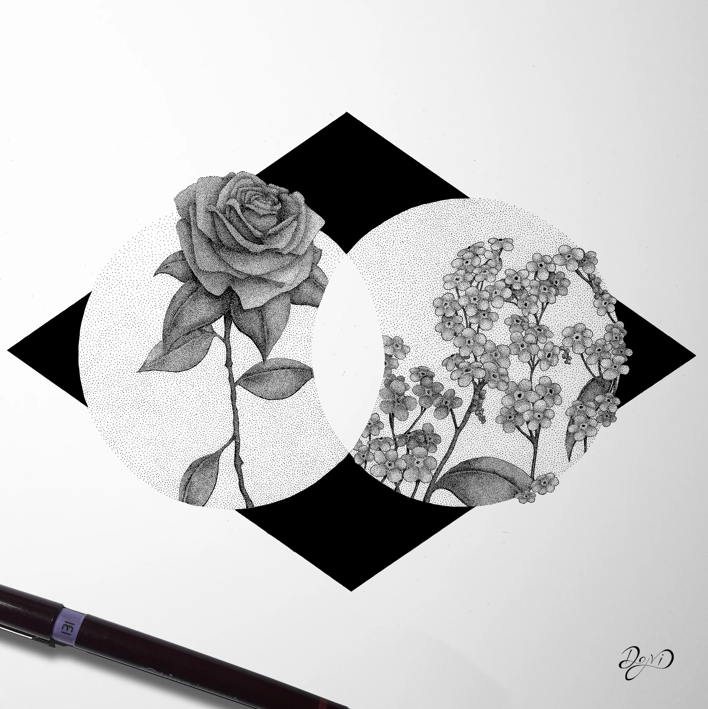 Dream Journal #2 | "Violets or a Rose?"