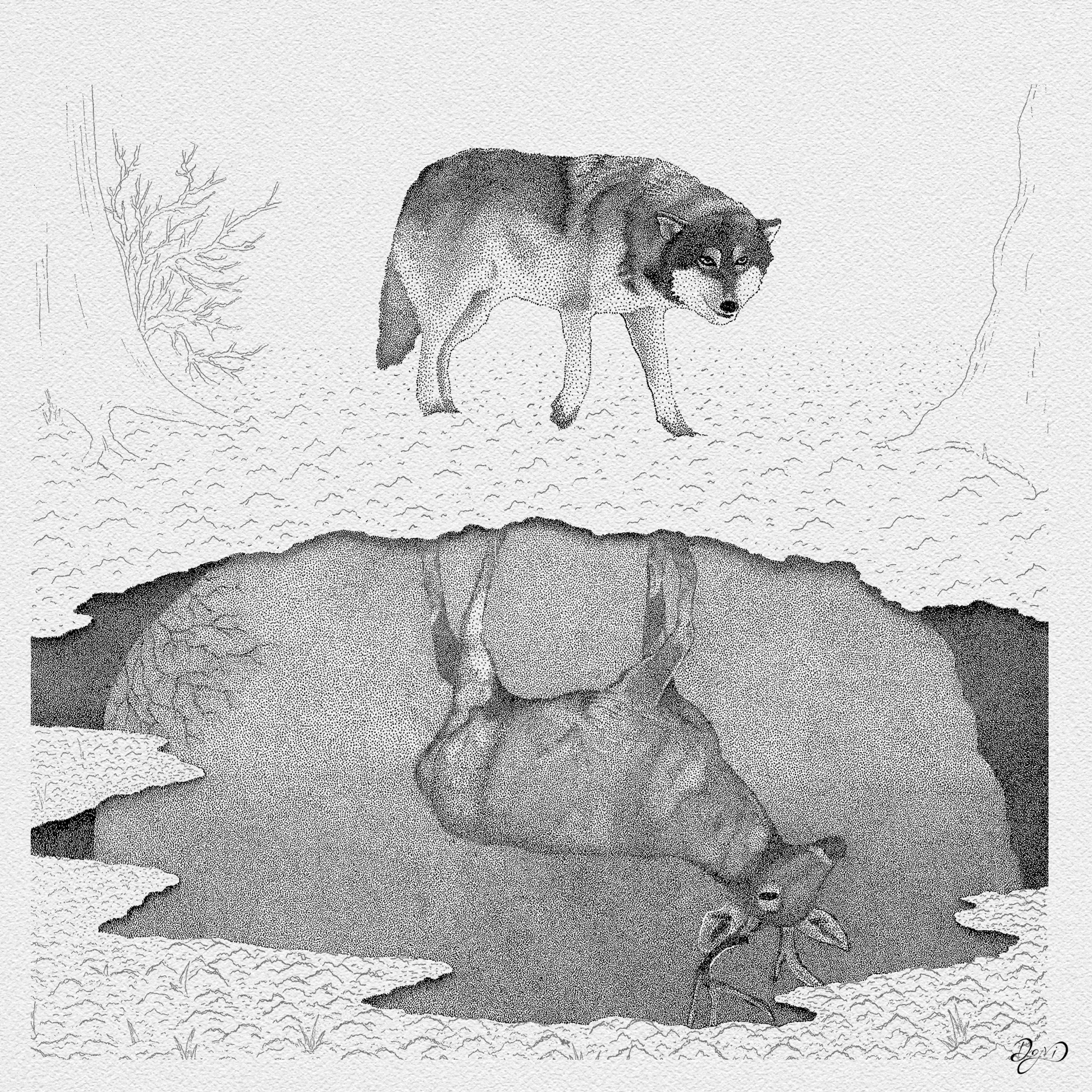 Connect the Dots | "Vulnerable"