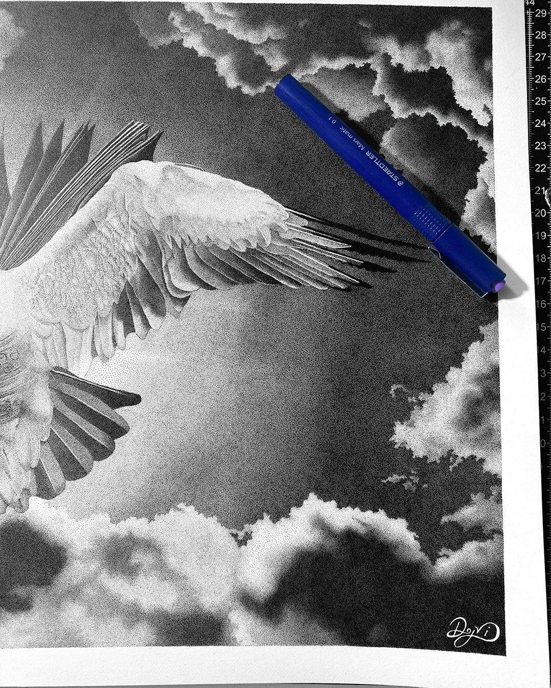 angel_of_borges_5.jpg
