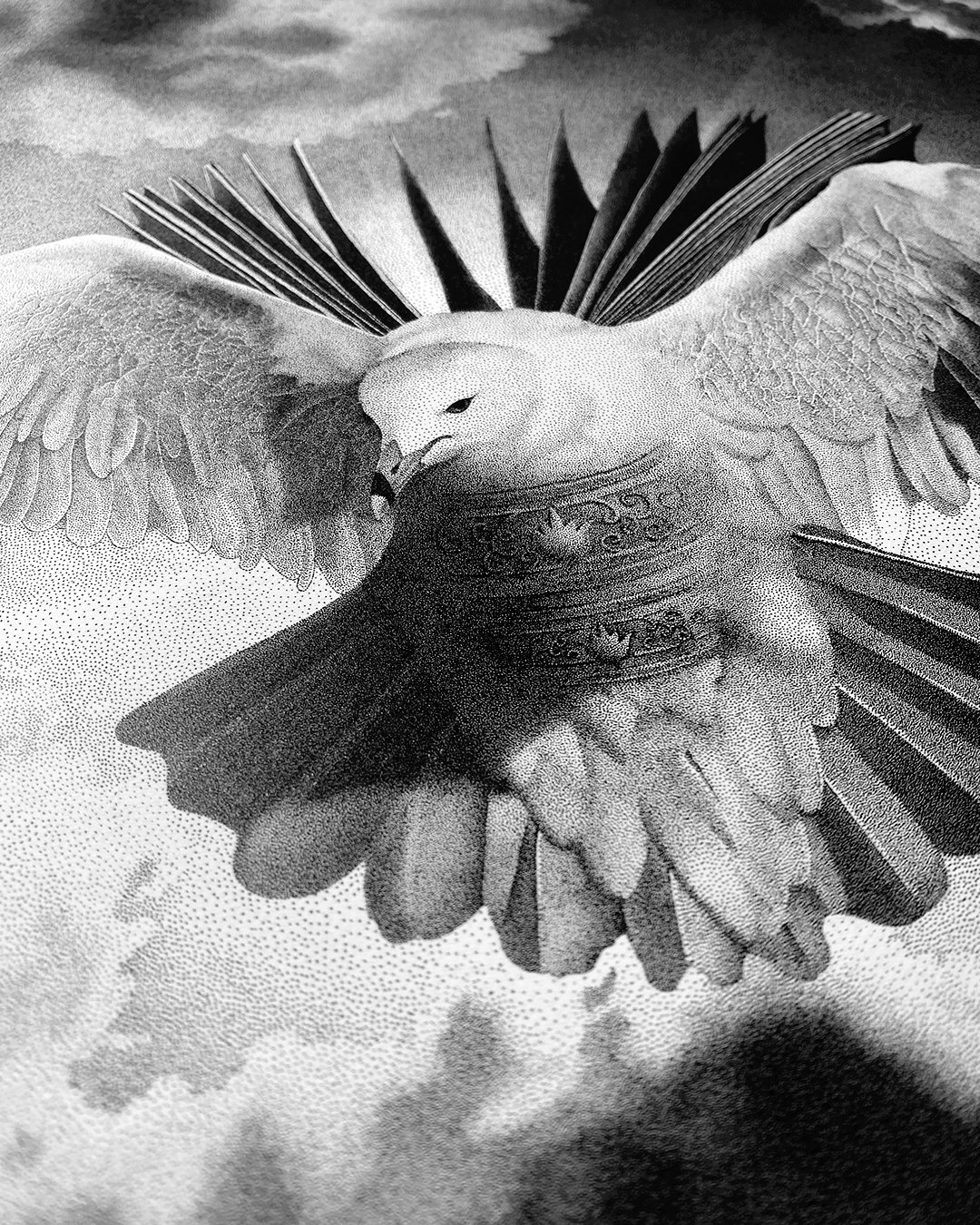 angel_of_borges_3.jpg