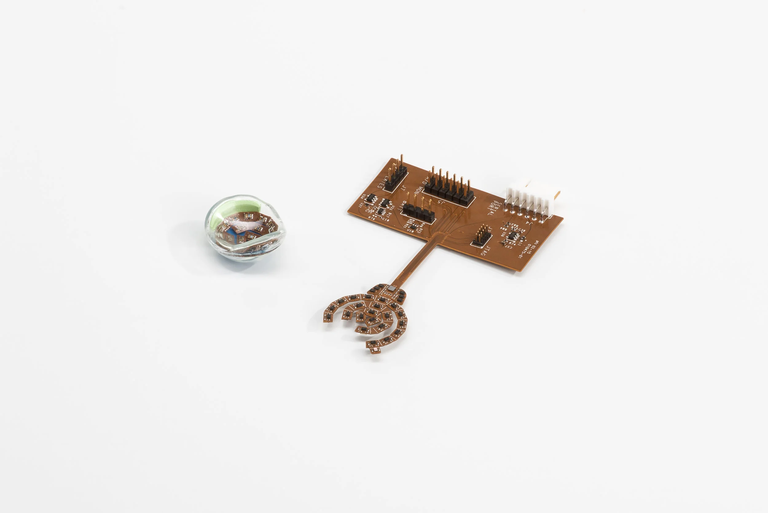 Presco_Prosthetic Eye_Dan Savinelli_-1.jpg