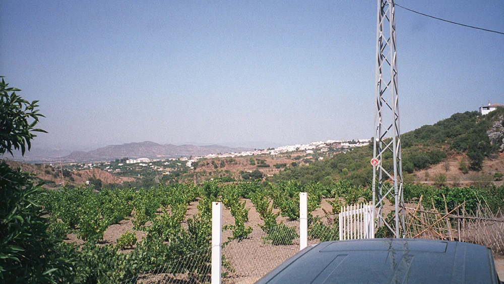 View form our shed 'studio'