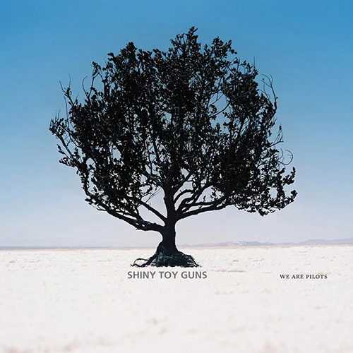 Shiny Toy Guns