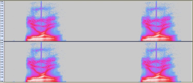 Spectrograph for Laurel