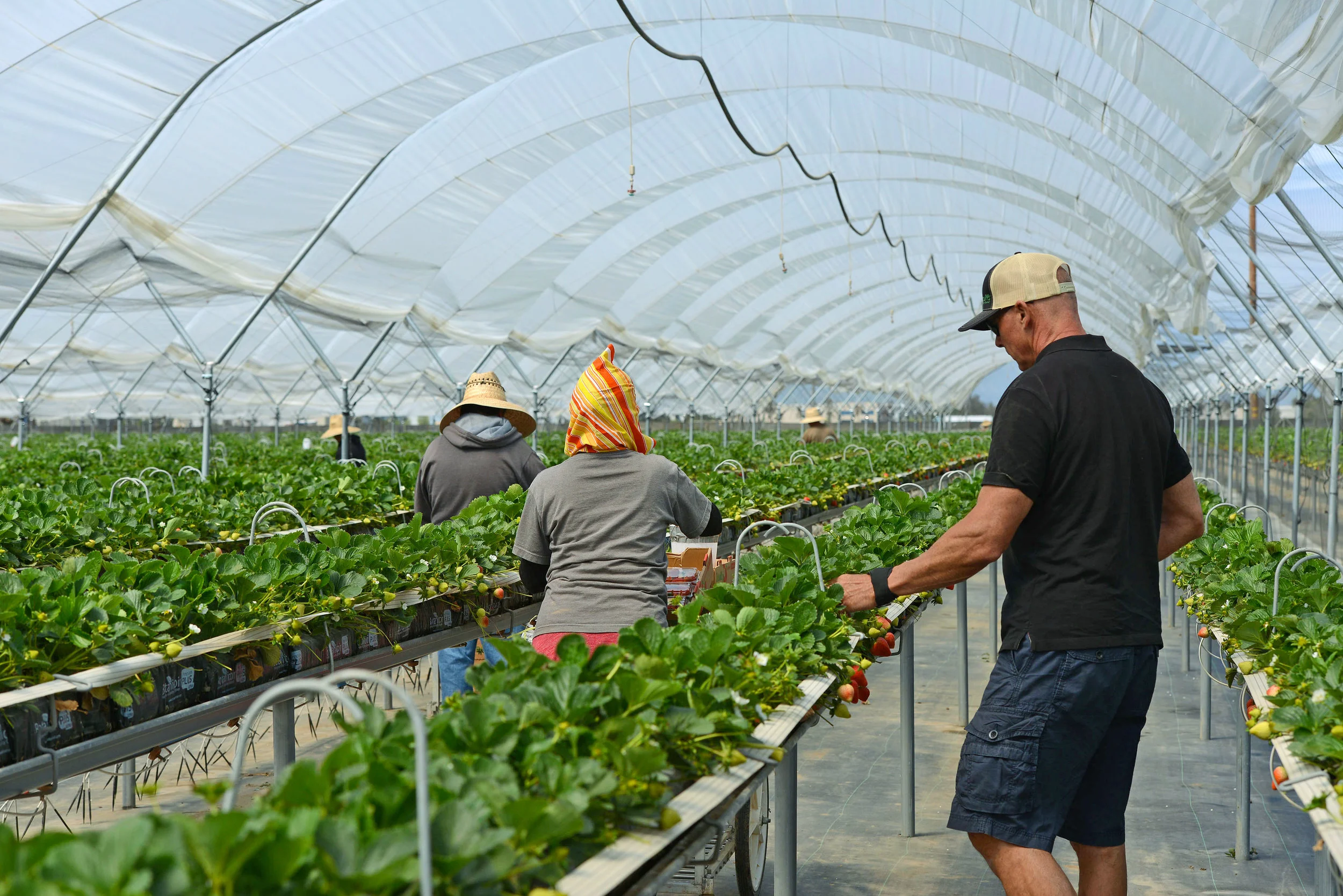 HR_SRB_Farms_4_2017_003 2.jpg