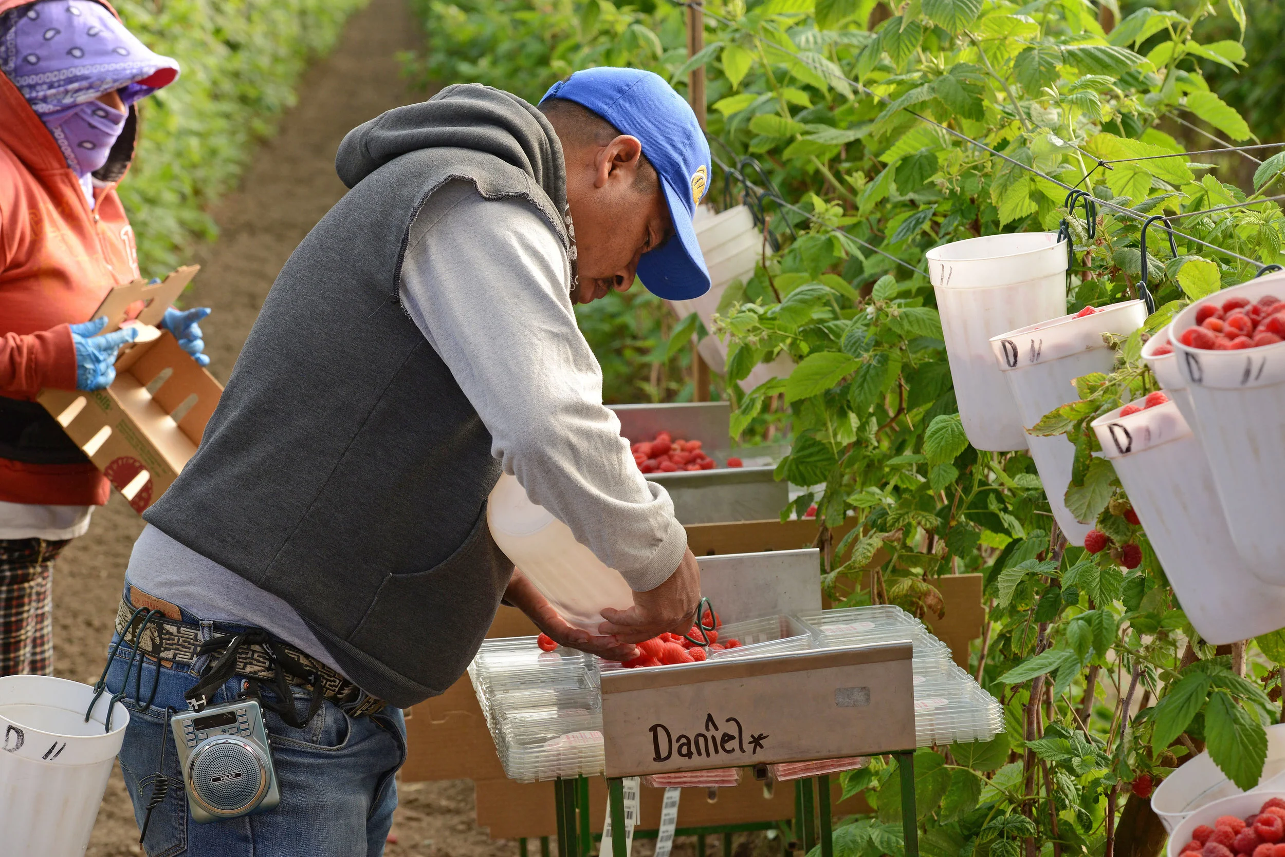 HR_SRB_Farms_4_2017_266.jpg