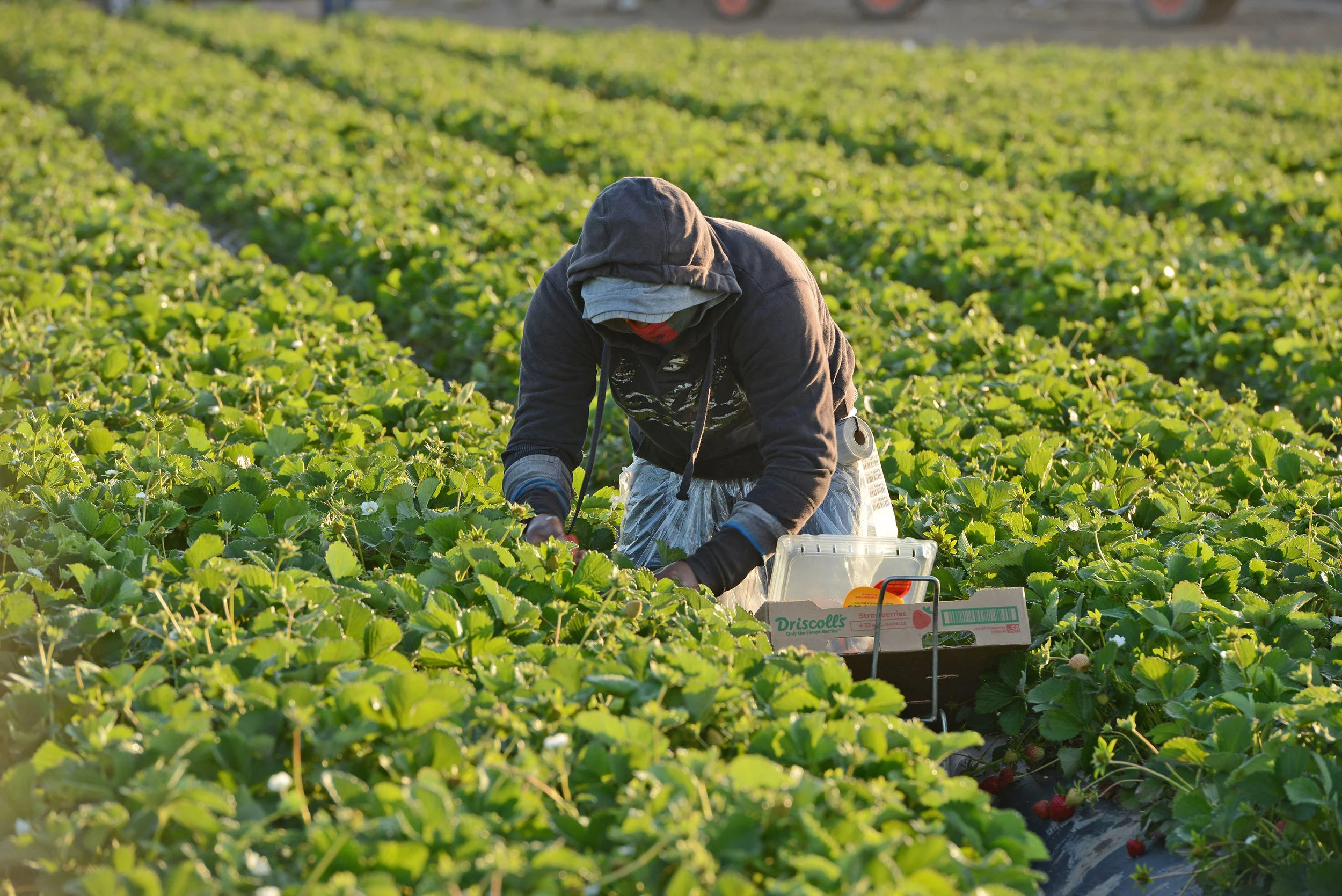 HR_SRB_Farms_4_2017_062 - Copy.jpg