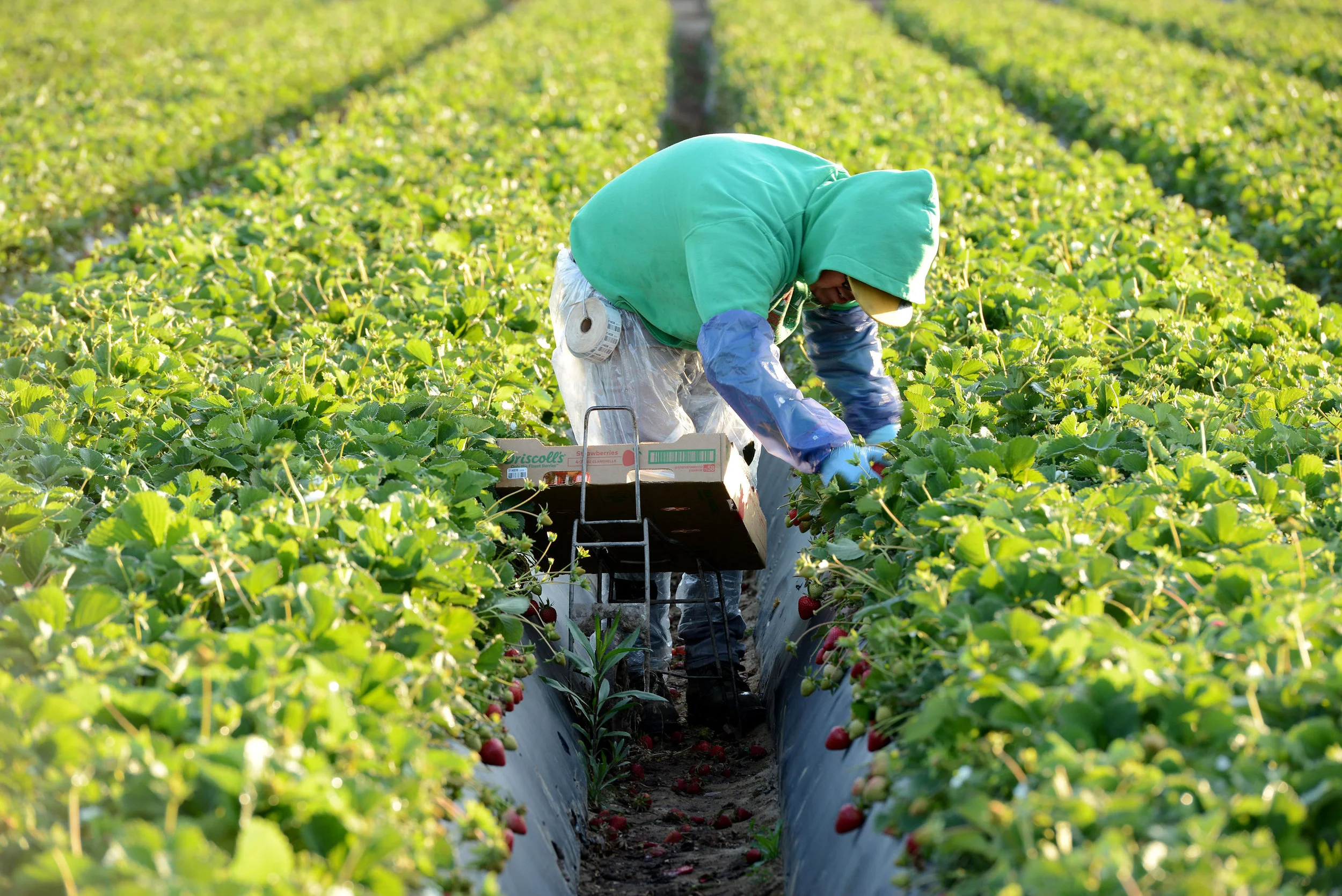 HR_SRB_Farms_4_2017_070 - Copy.jpg