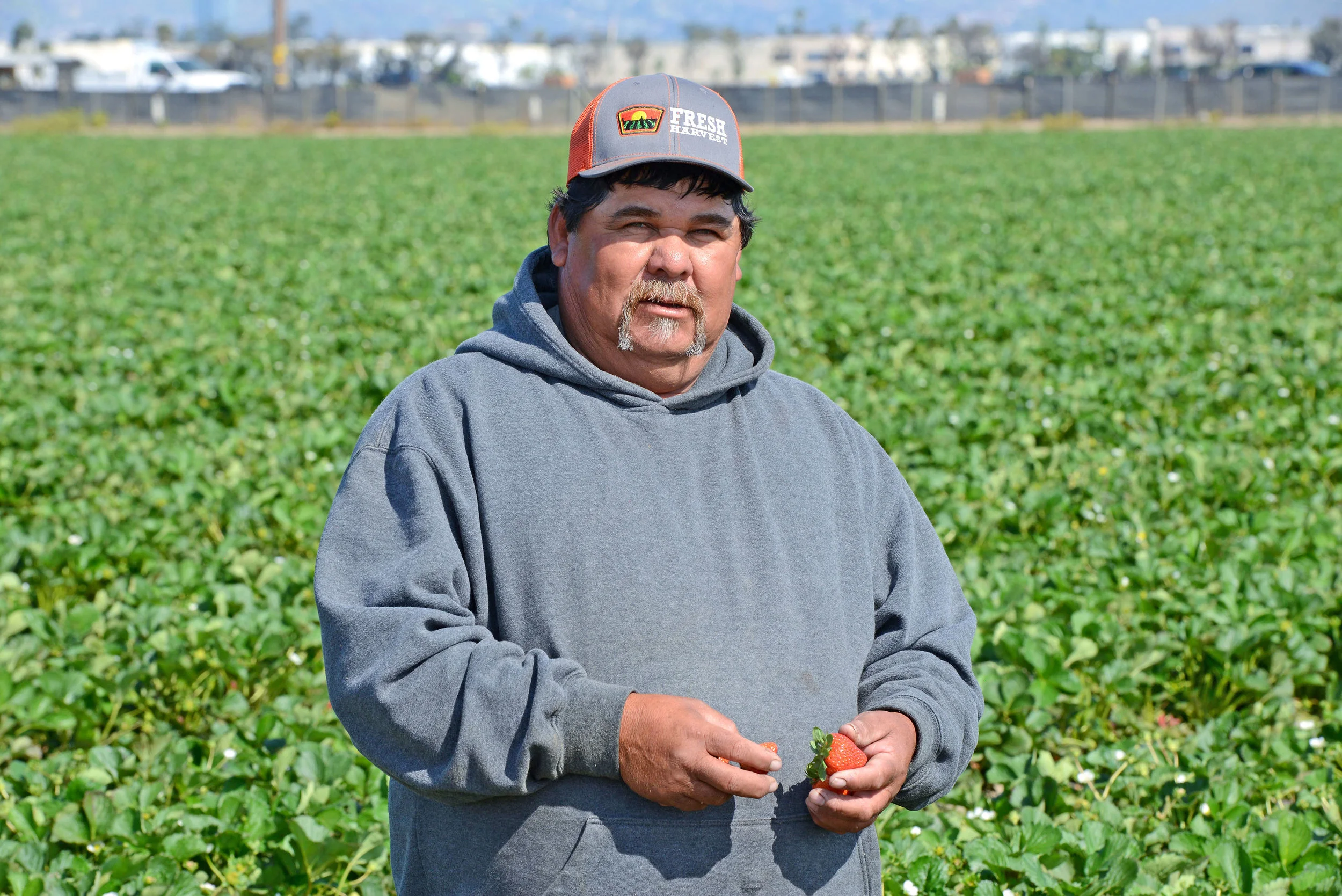 HR_SRB_Farms_4_2017_101.jpg