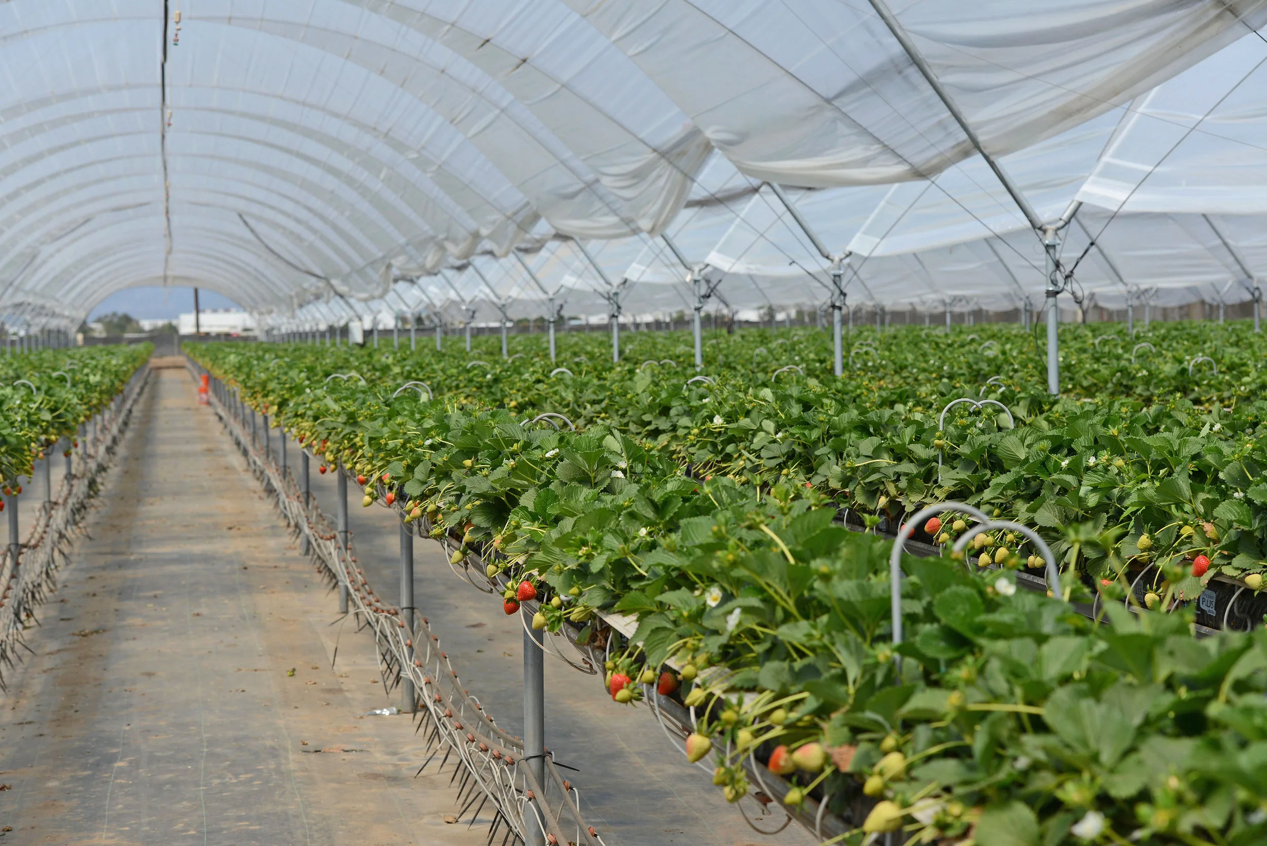 HR_SRB_Farms_4_2017_001.jpg