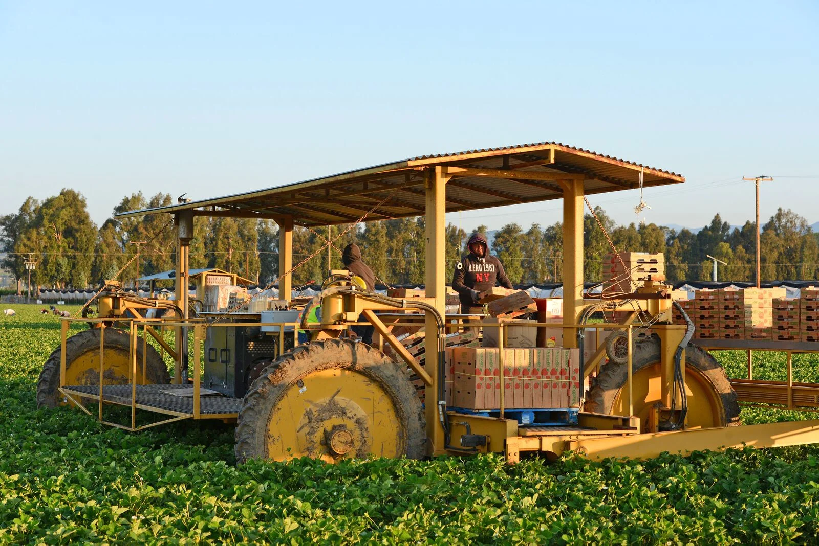 HR_SRB_Farms_4_2017_050.jpg