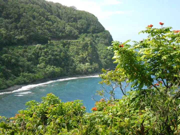 What's On A Travel Planner's Bucket List?