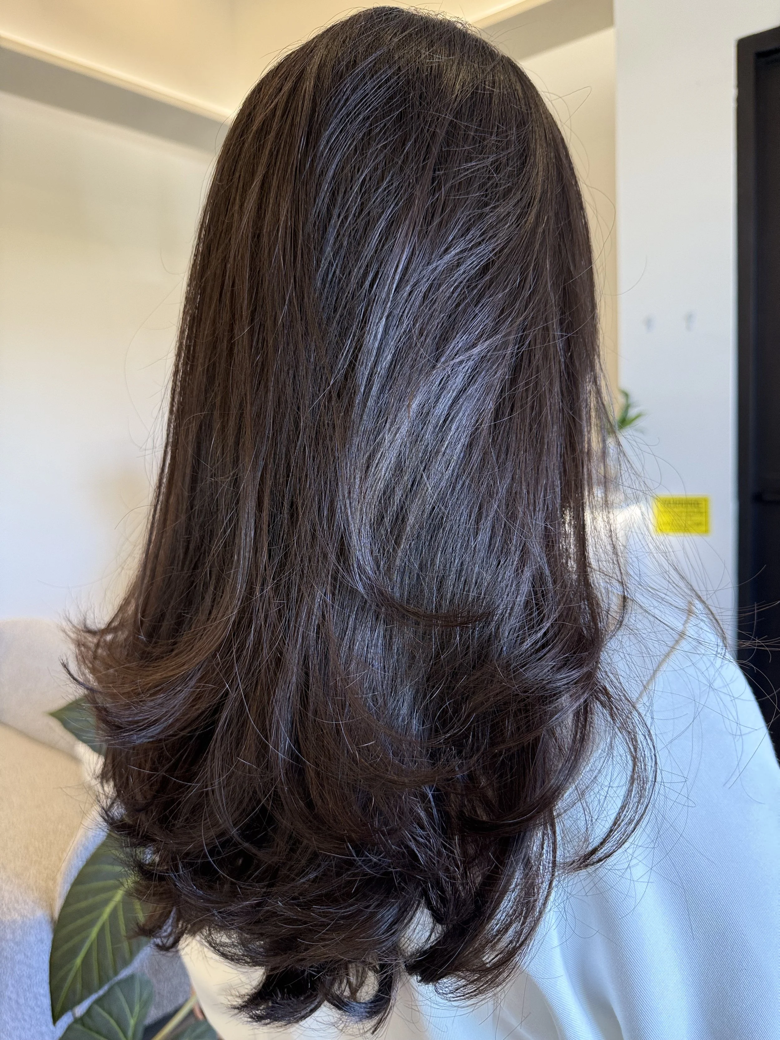 Brunette layered haircut with full body movement and balanced shape for fine to medium hair Frisco Texas