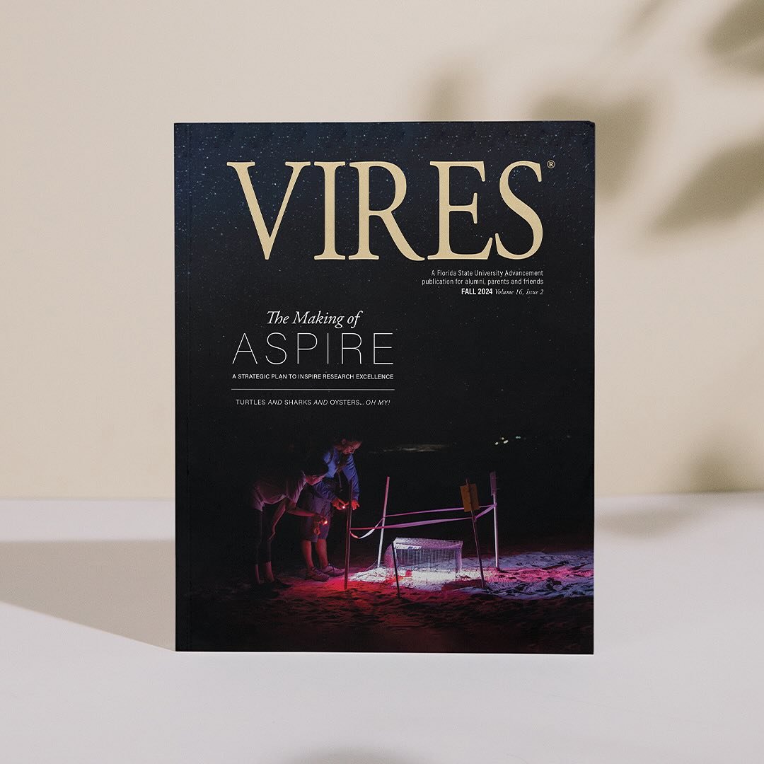 The fall issue of VIRES magazine ✨