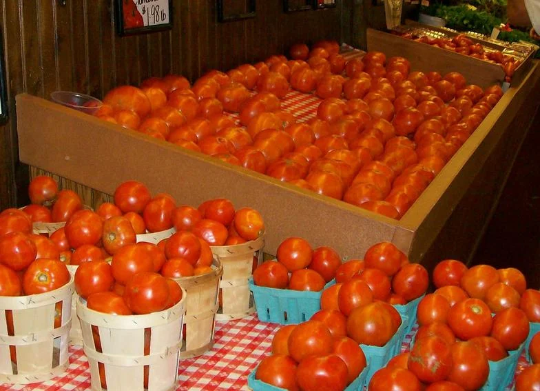 Tomatoes_001_edited.jpg
