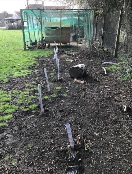 Stanford in the Vale School, Oxfordshire