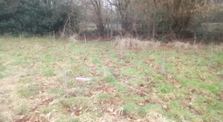 Barnsbury Primary School, Woking