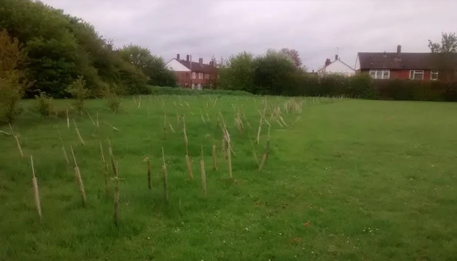 Swindon Academy Beech Avenue, Wiltshire