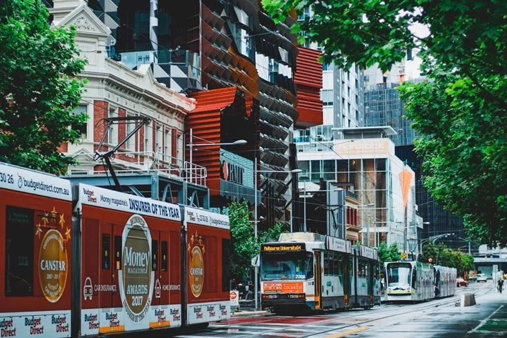 Green is the new Black – The Benefits of Urban Forests  