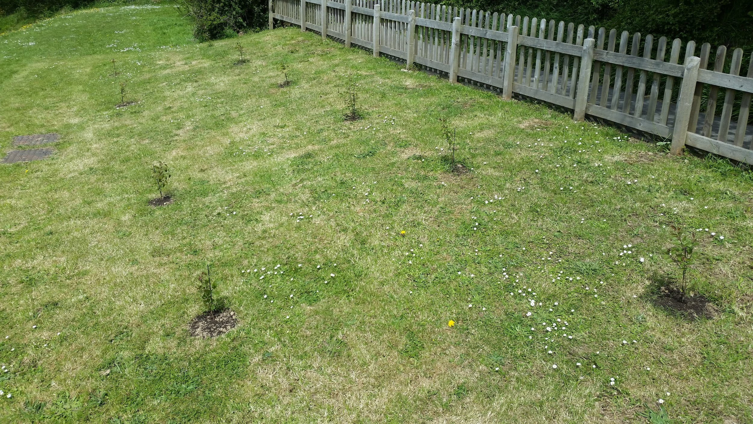 20190515_120607.jpg
