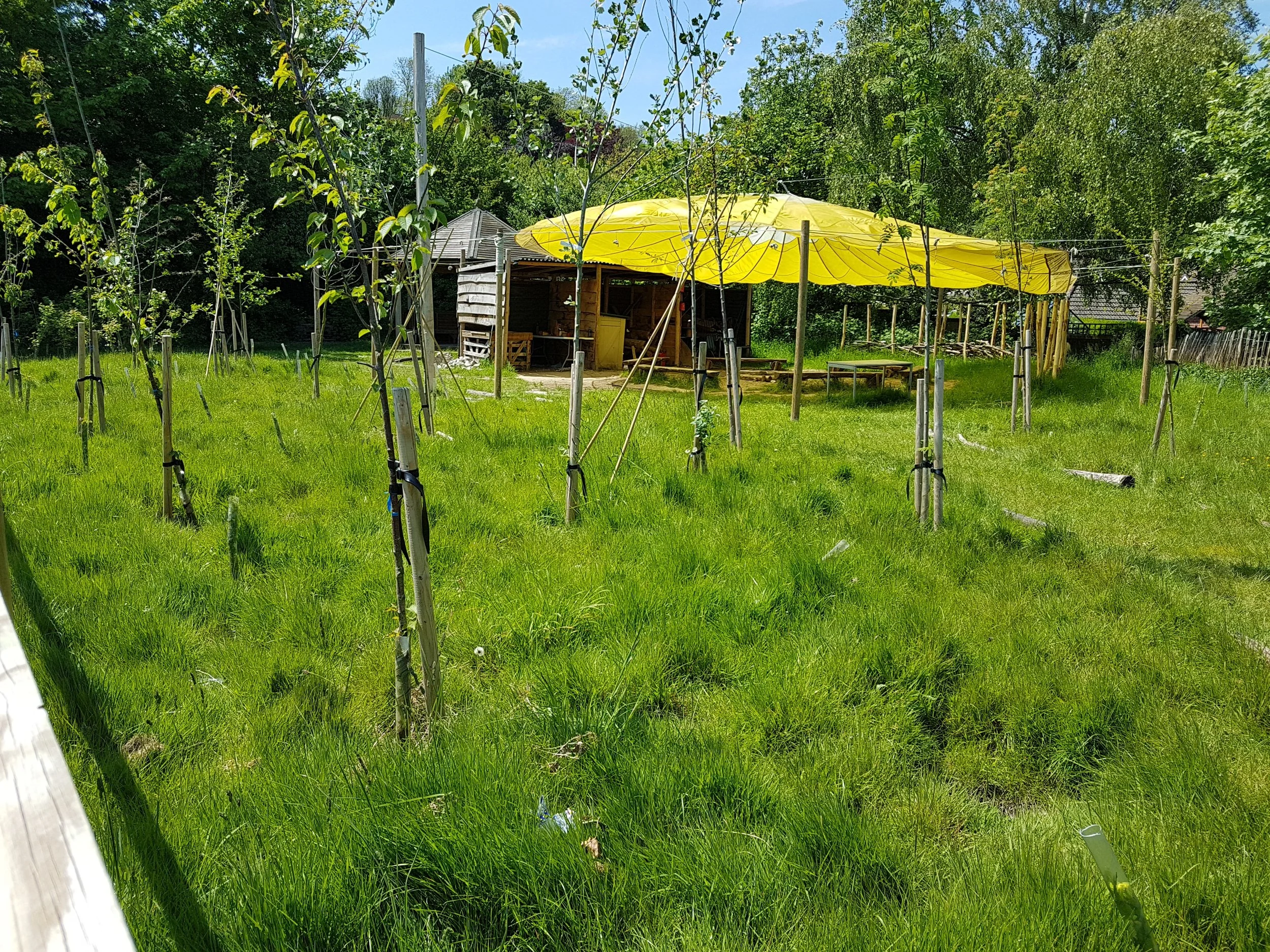 River Primary School, Kent