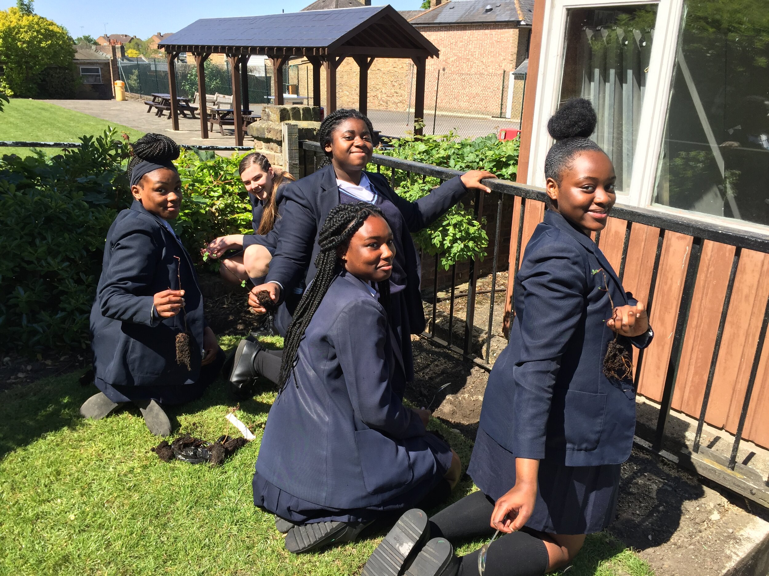 St_ursulas_school_greenwich_tree_planting.JPG