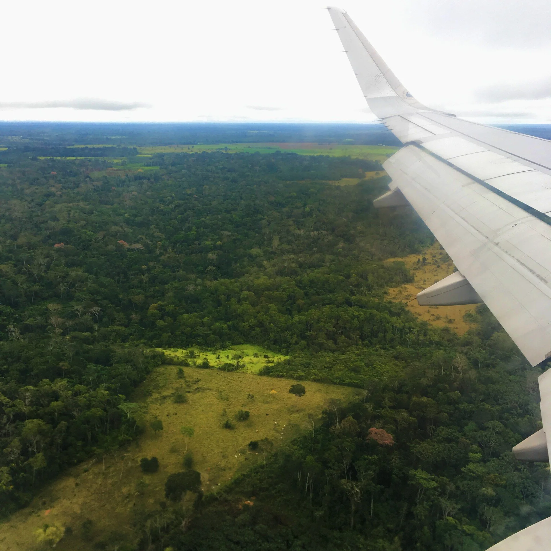 Arial view of rainforest converted into pasture land in Peru. Photo by Elena Chaboteaux
