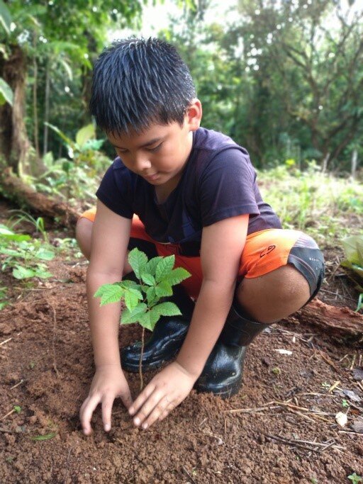 Boy_planting_tree_costa_rica.jpg