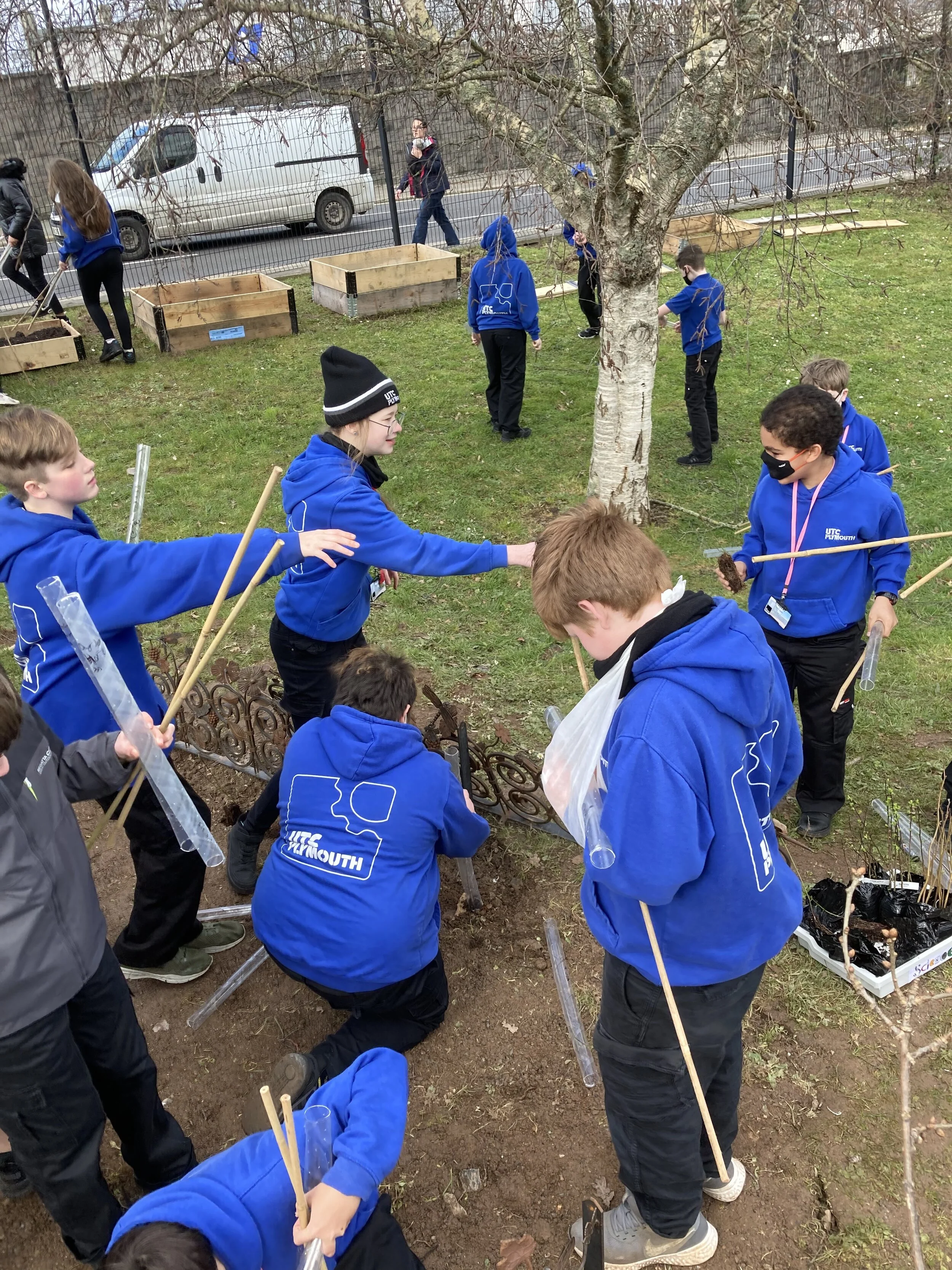 UTC_Plymouth_school_tree_planting (4).jpeg