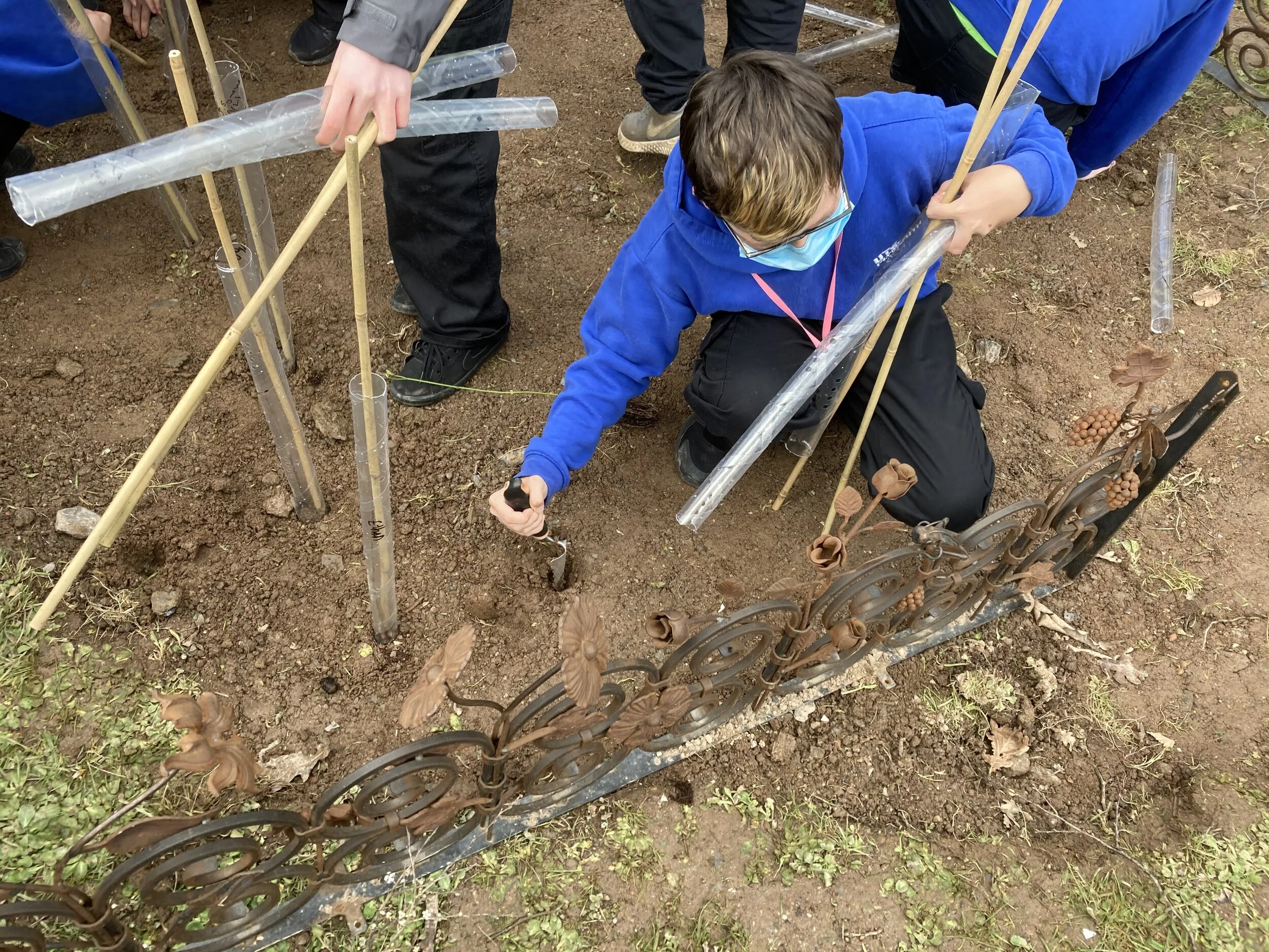 Tree Nursery part of Eco-School Project in Plymouth