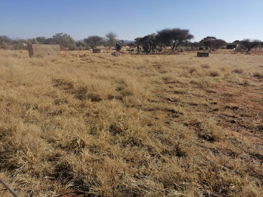 Namibia_grass_desert.jpeg