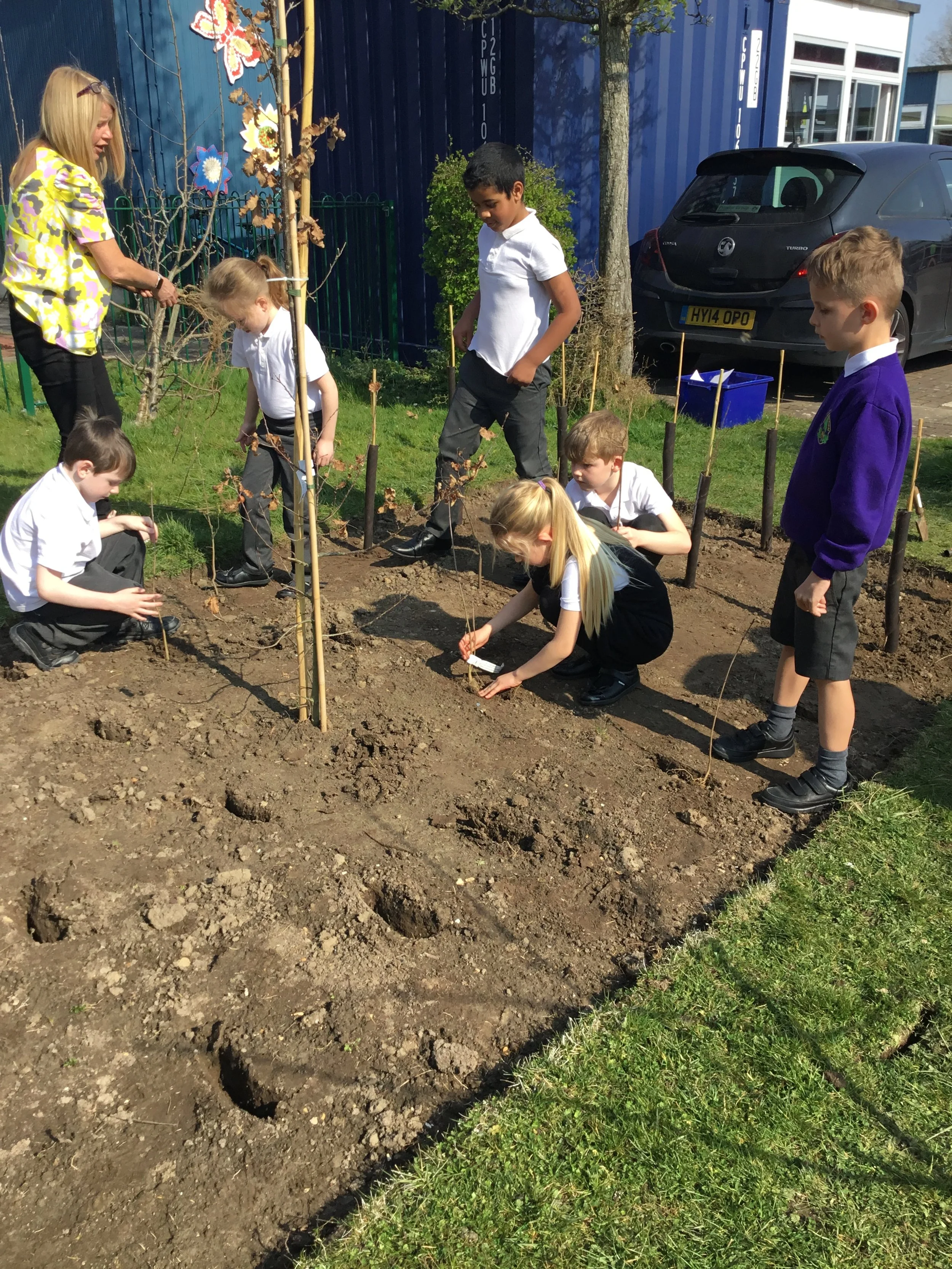A new Tree Nursery at Padnell Infant School in Hampshire