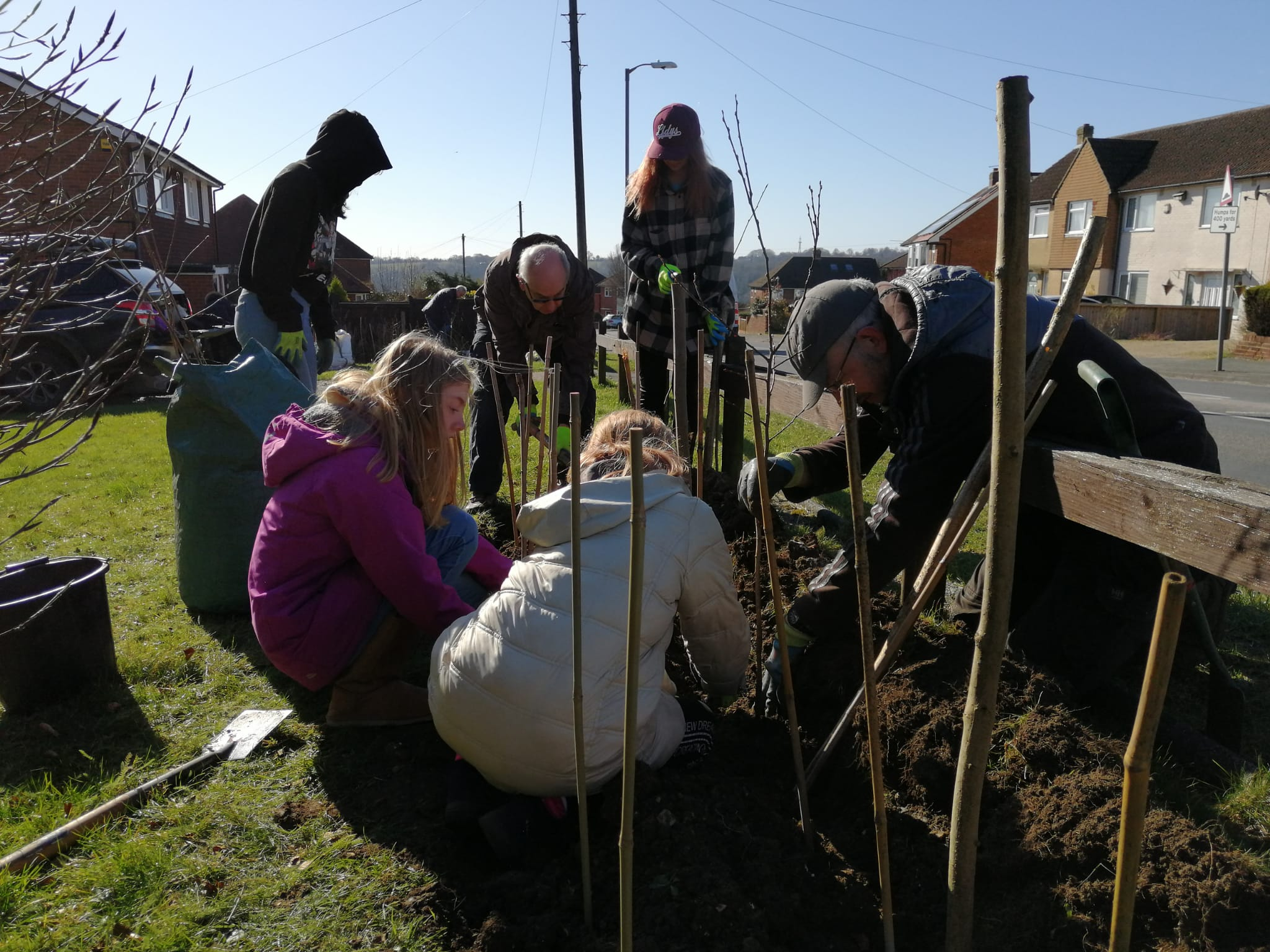 After-School Tree projects in High Wycombe