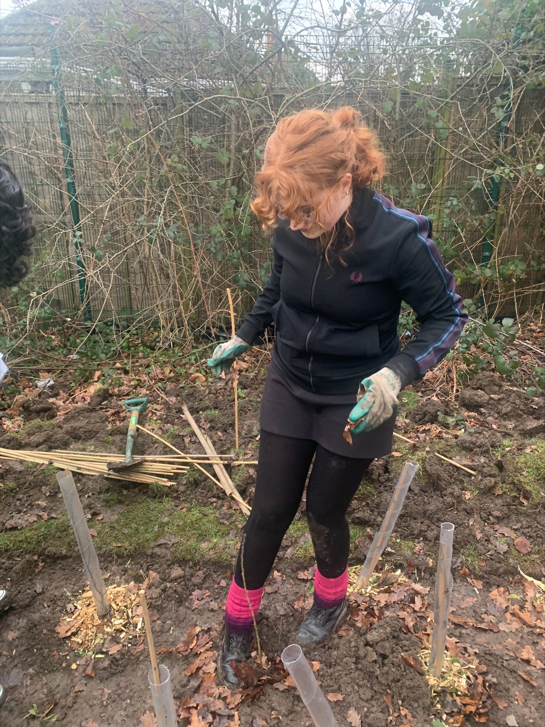 Hedgerow Planting Example Planting a hedgerow for wildlife in Solihull — Earth Restoration Service