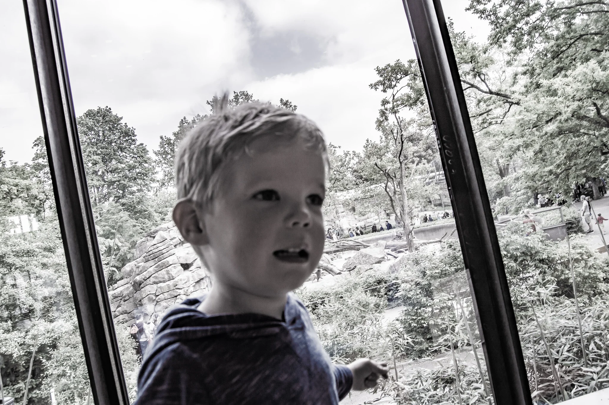 DSC_0277.jpg