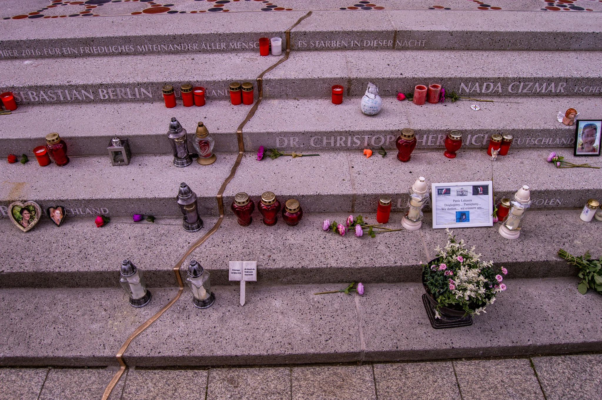 DSC_0223.jpg