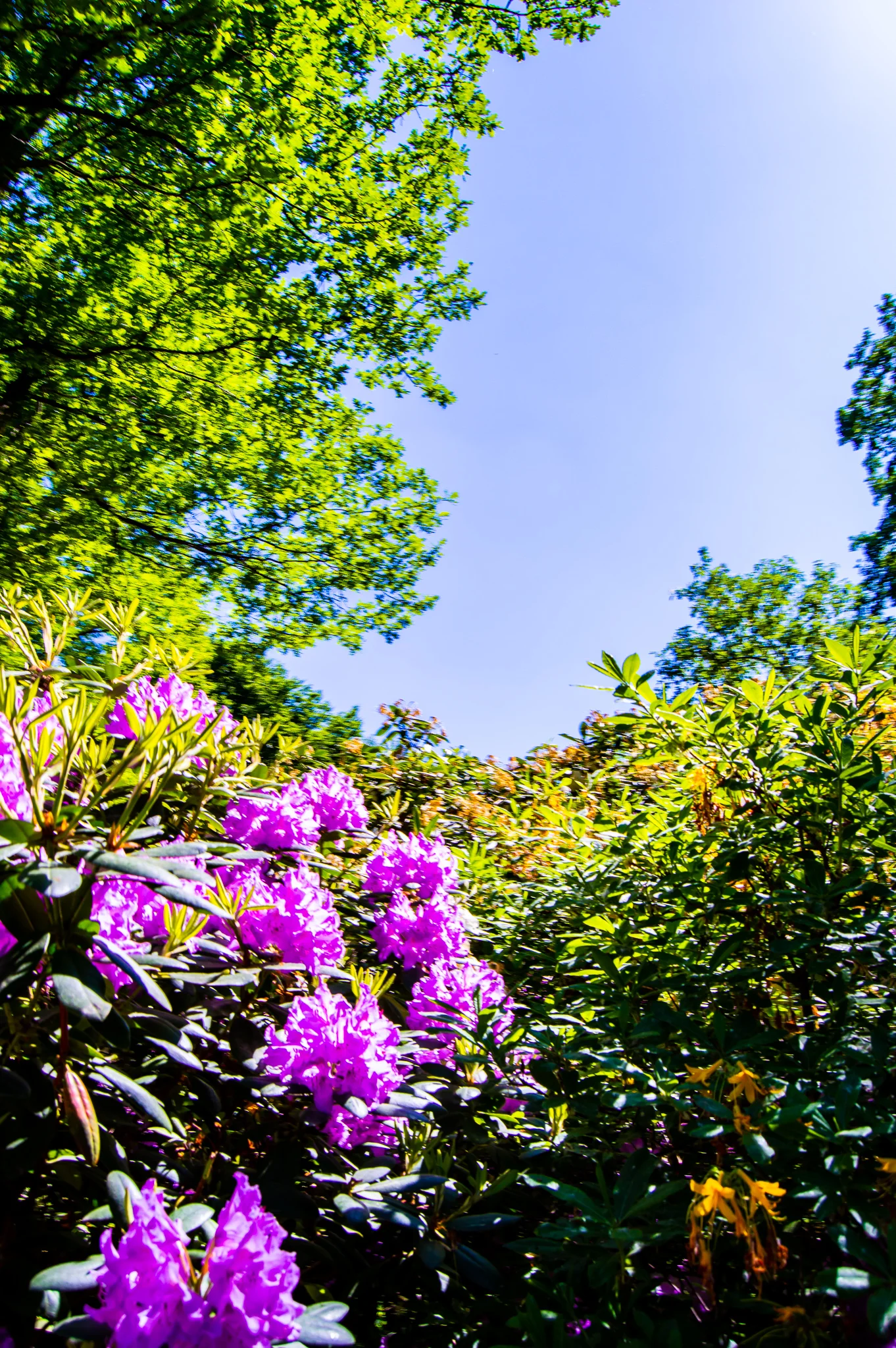 DSC_0015.jpg
