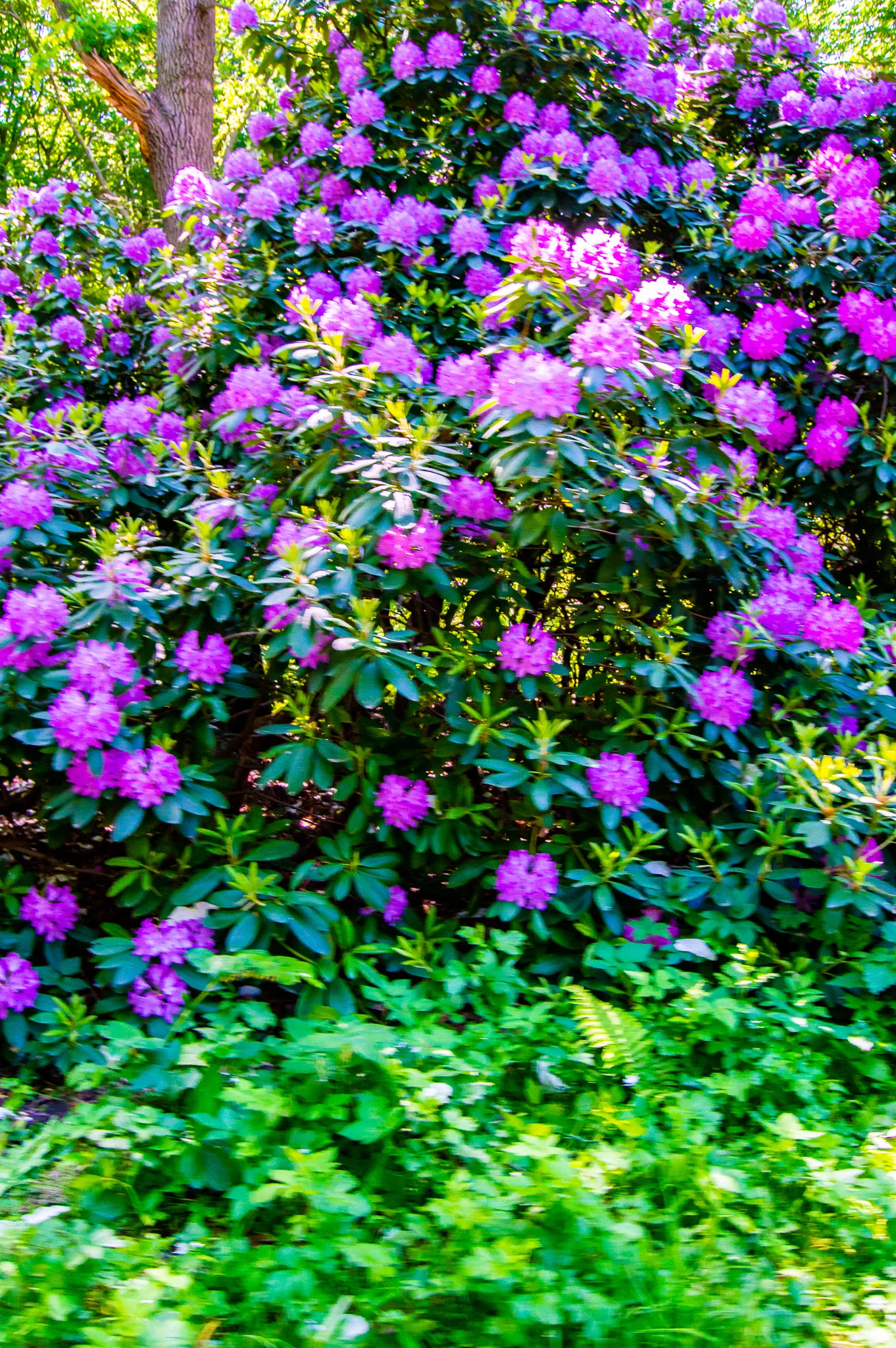 DSC_0023.jpg