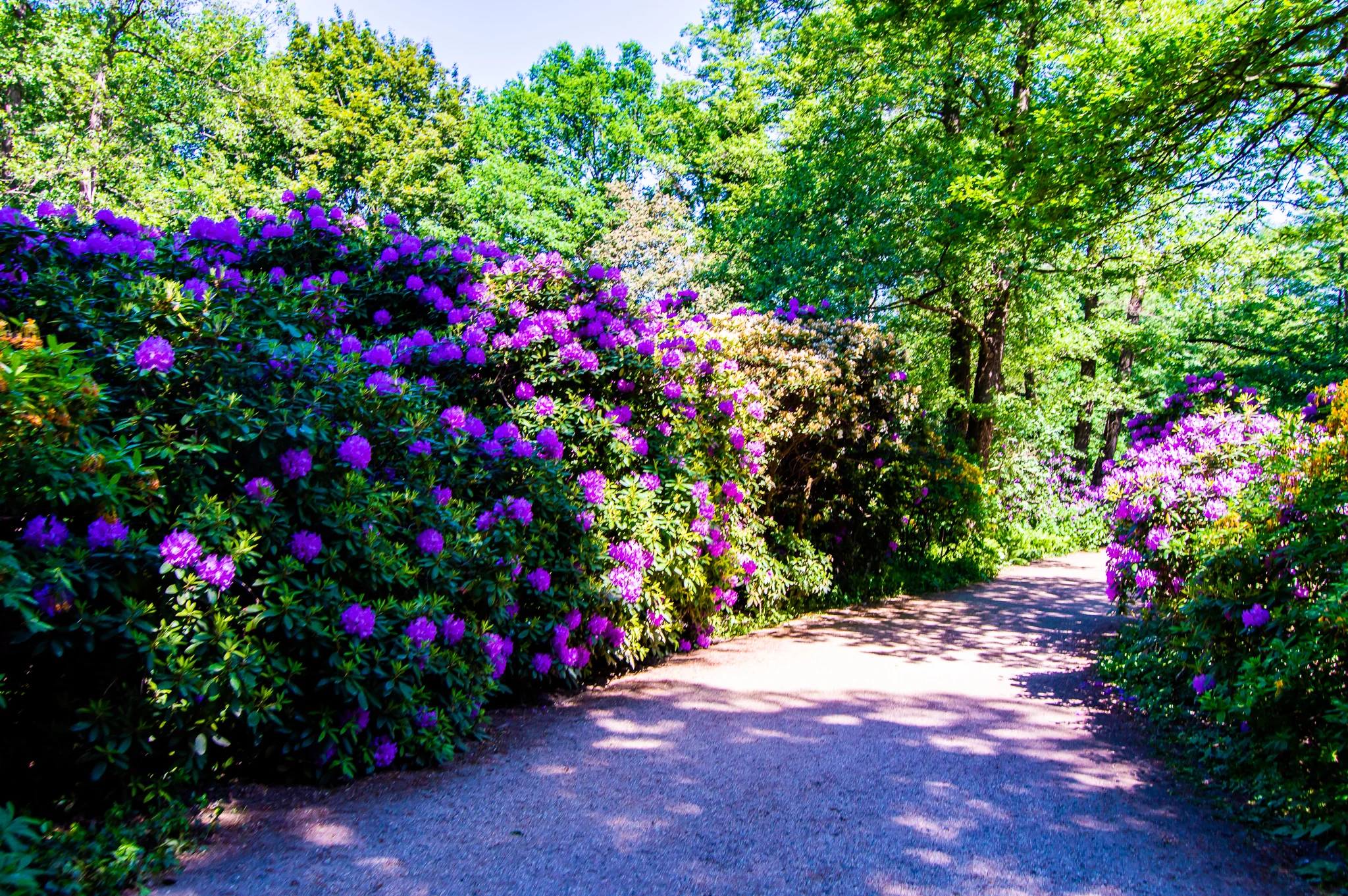 DSC_0014.jpg