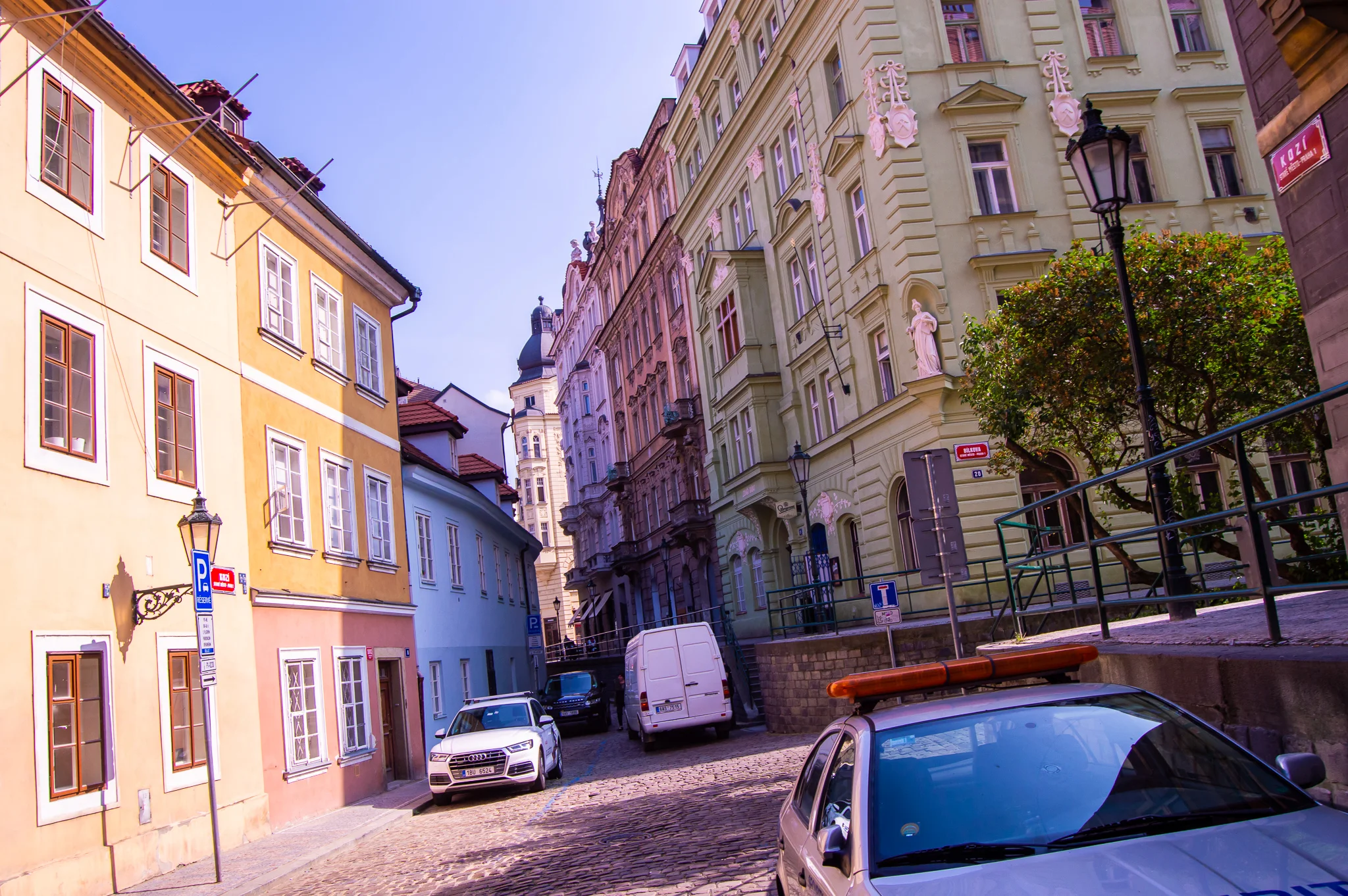 DSC_0092.jpg